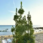 Apartmani Anita